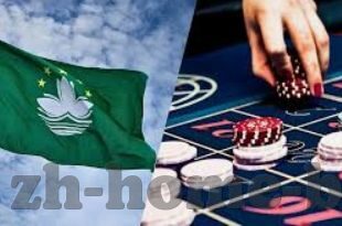 网址百家乐app下载-网址百家乐app下载，便捷娱乐新选择