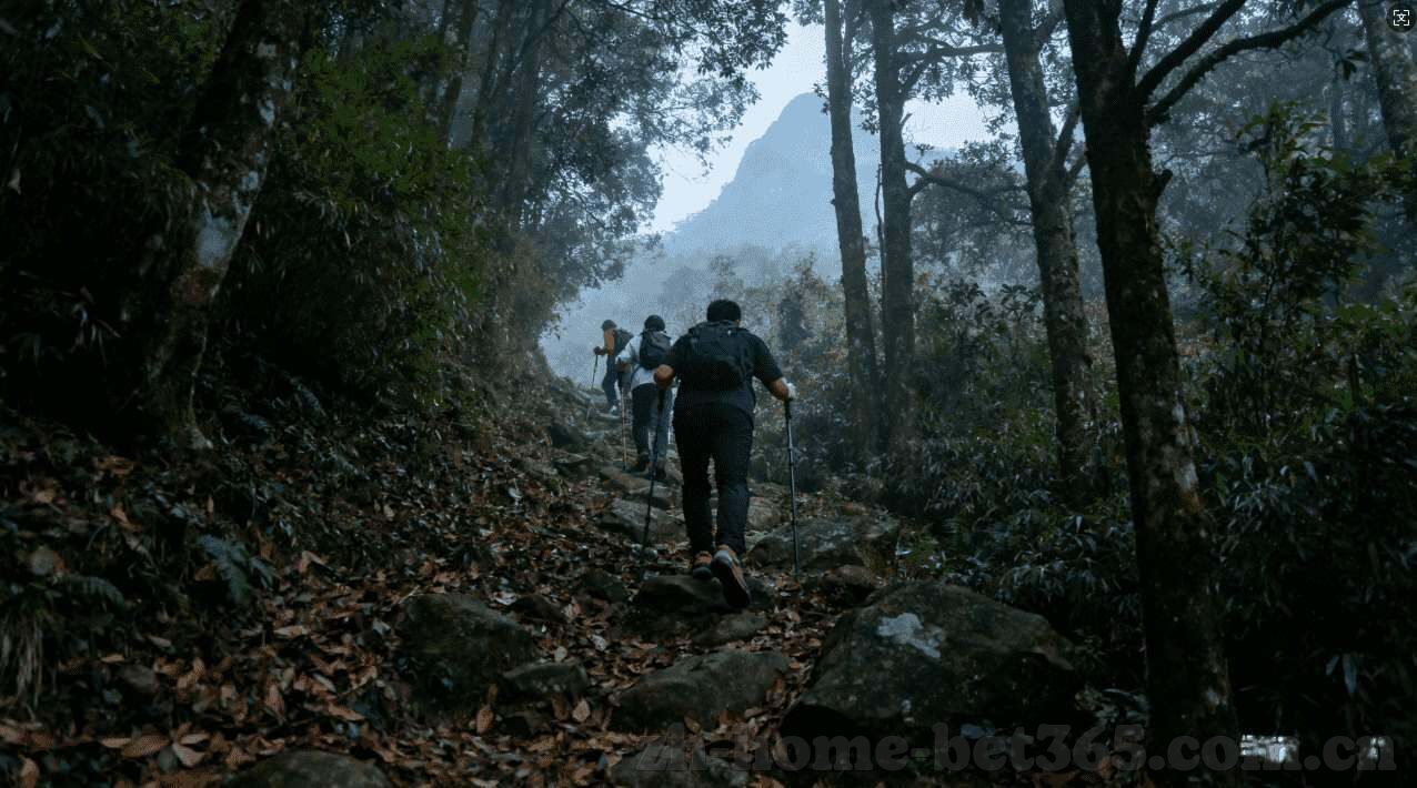 炸金花骰子规则-炸金花骰子规则，一场智慧与运气的博弈